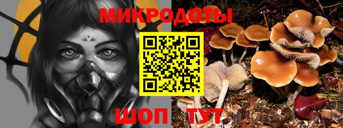 Псилоцибиновые грибы мицелий Пушкино