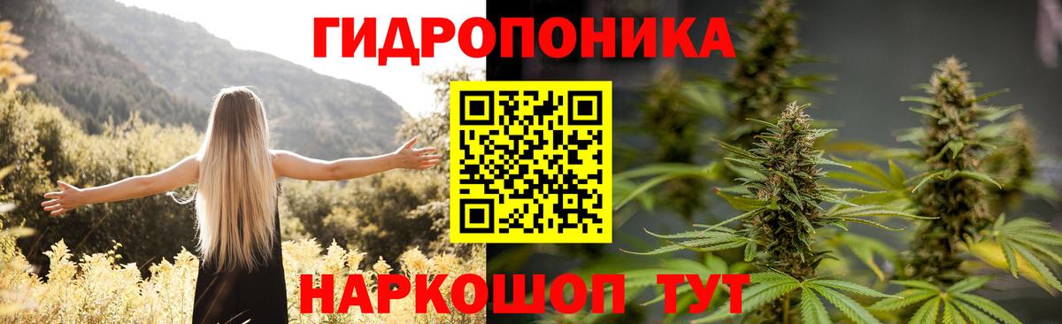 Бошки марихуана тримм  Каннабис марихуана  Бошки марихуана тримм  Вход с VPN  Пушкино 